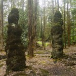 Lava Tree State Park – One of Hawaii’s most unusual attraction